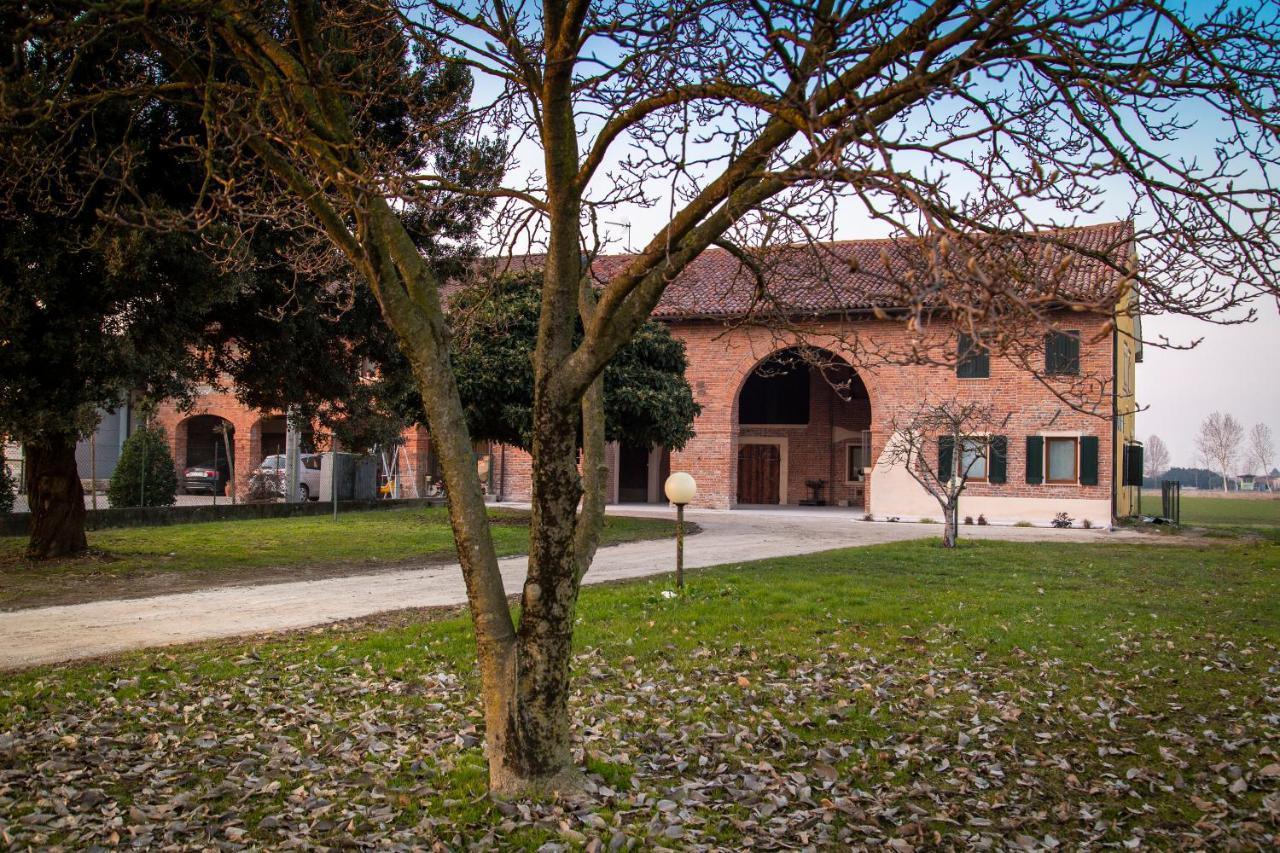 Casa Norma Piano Terra Villa San Martino di Lupari Eksteriør billede
